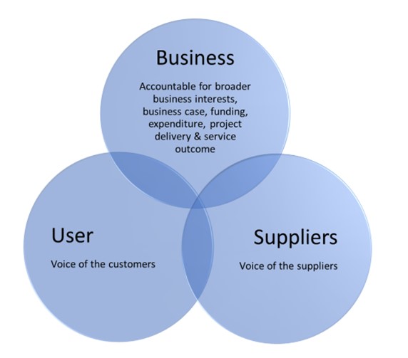 Figure 3: intersecting circles depicting the areas of focus for project and program assurance